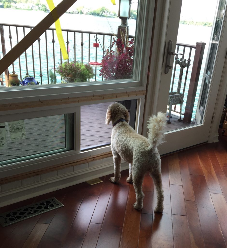 Marvin venting picture window