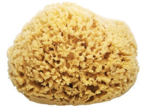 Cleaning Your Windows the Right Way natural_sponge