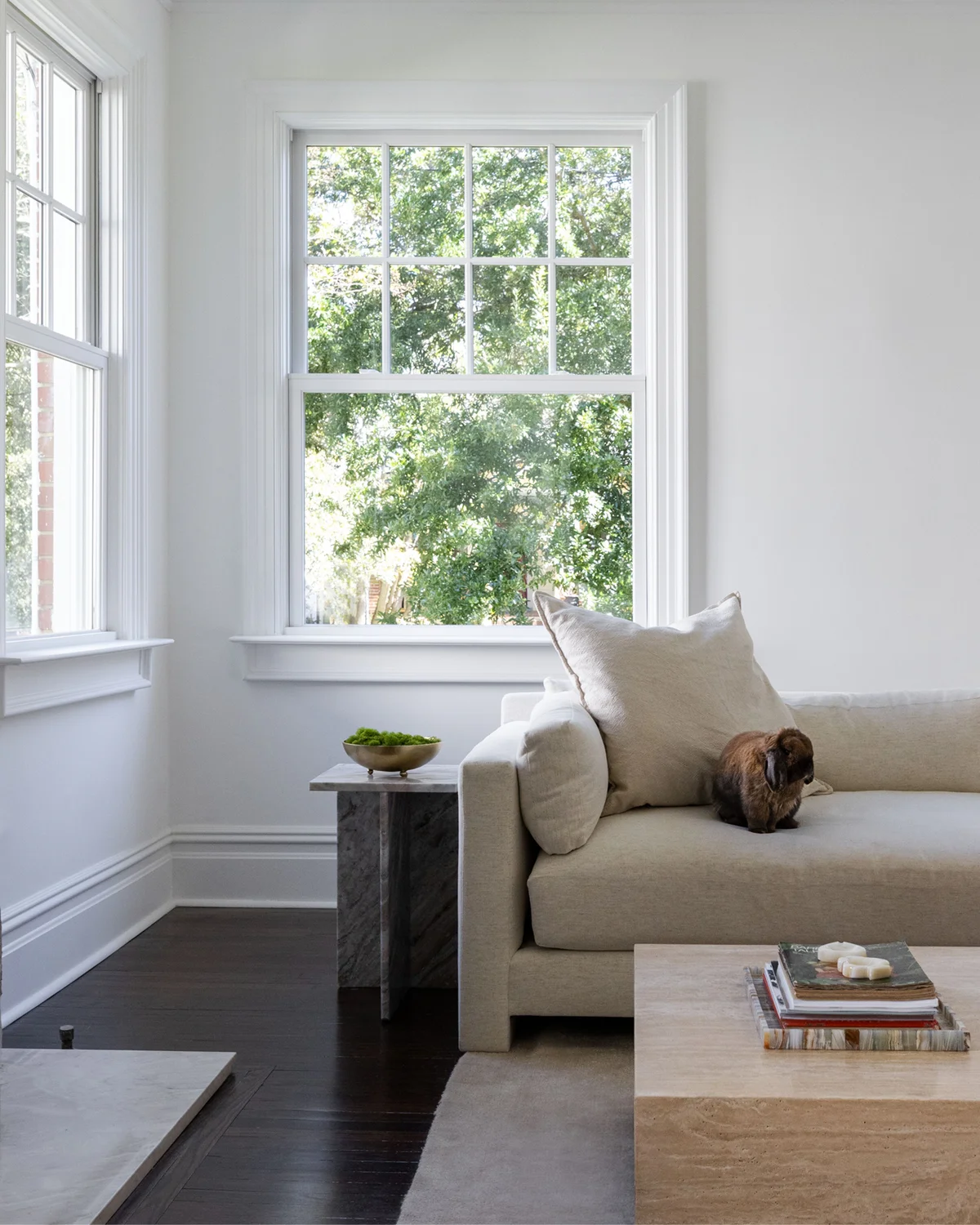 Traditional living room with white Marvin Elevate double hung windows